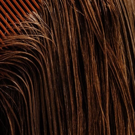 22” weft hair extensions 2 rows at Ascension Beauty Co LLC in Cheyenne, WY